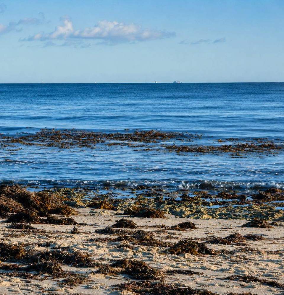 A calm Fremantle shoreline, evoking a sense of space and healing